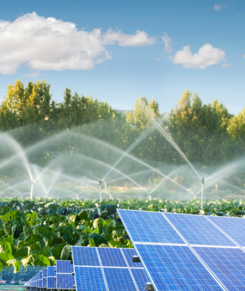 TARIMSAL SULAMA SİSTEMLERİ